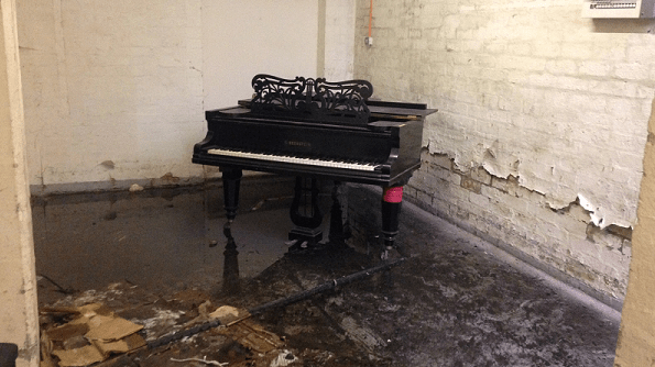 Photo by Kate Romano